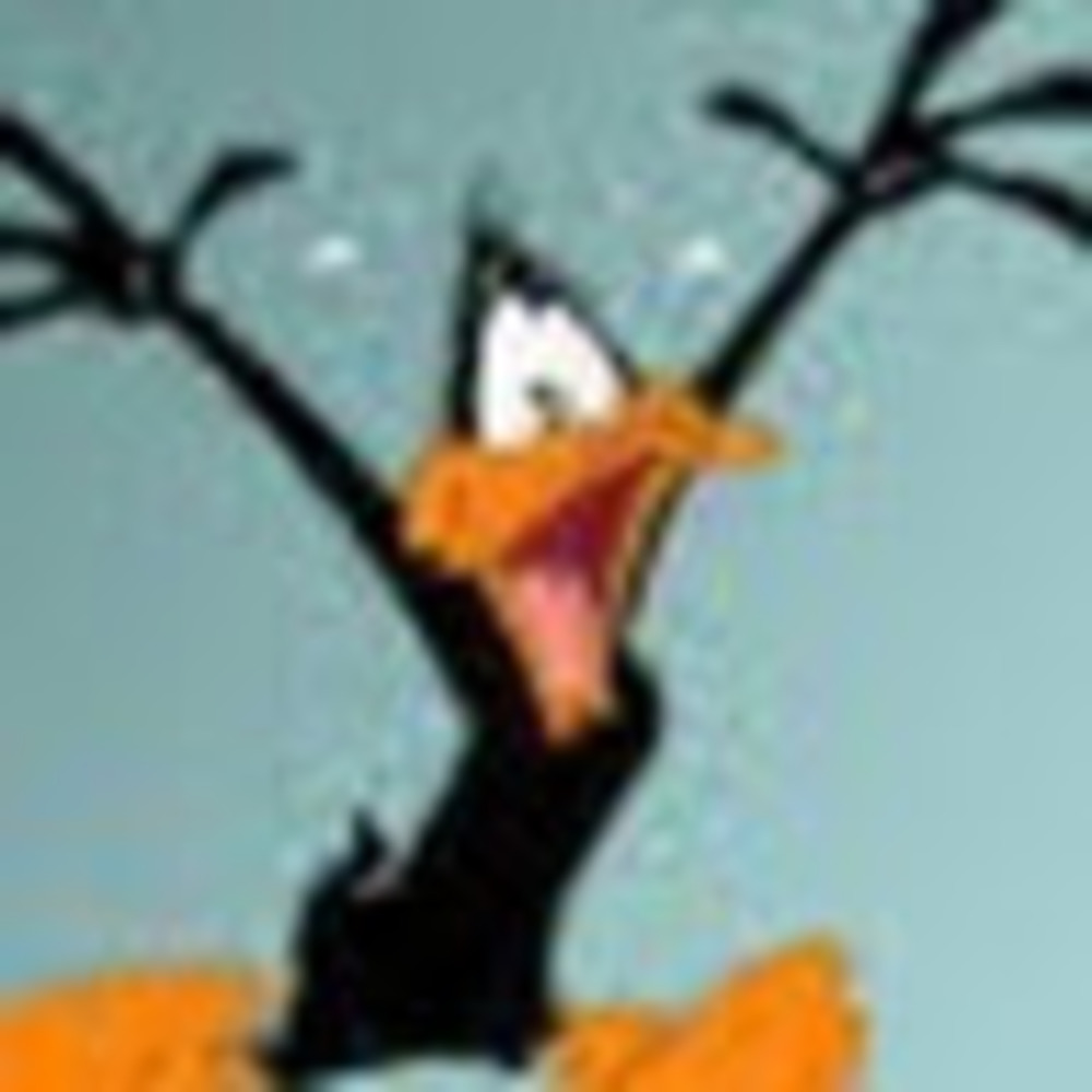 Meet your Posher, Dave